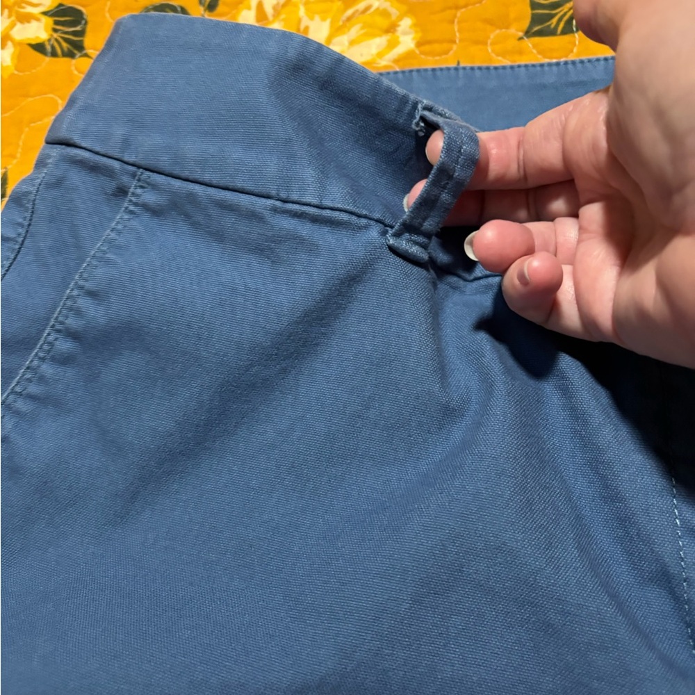 LOFT Julie Blue Shorts - Picture 6 of 14
